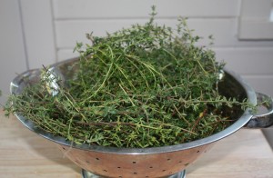 Drying herbs